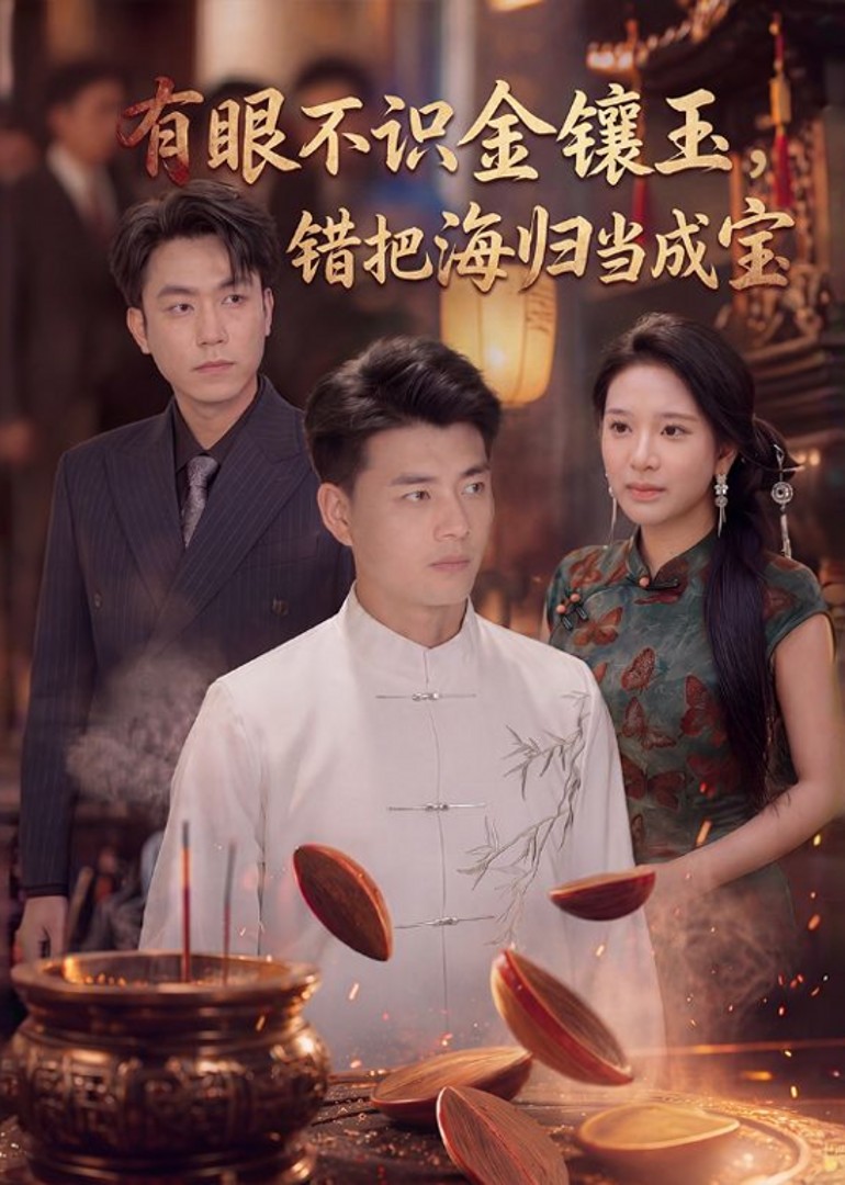 有眼不识金镶玉，错把海归当成宝封面图