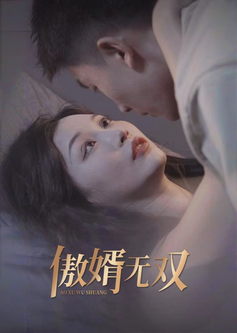 傲婿无双封面图