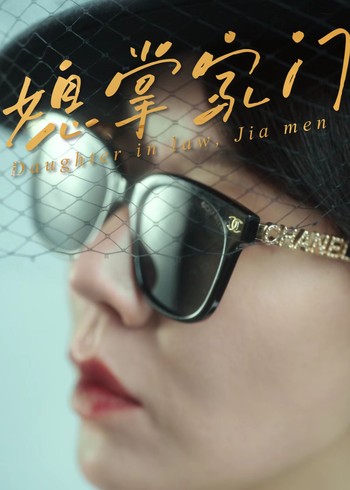 媳掌家门封面图