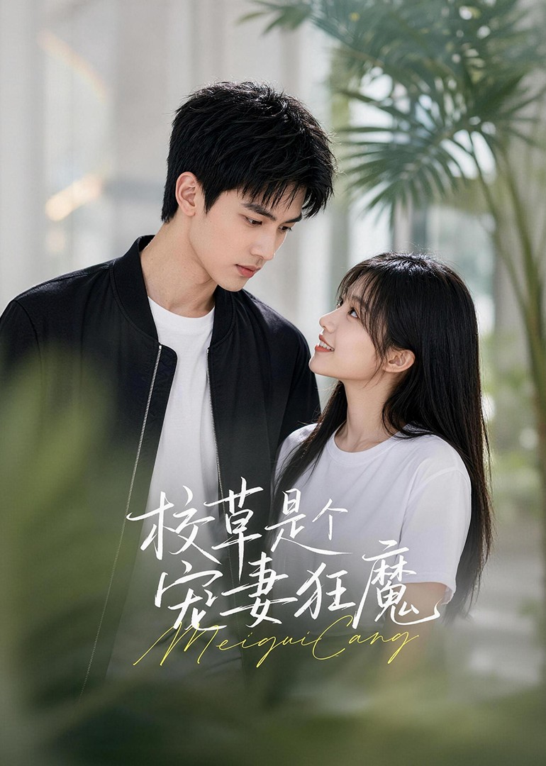 校草是个宠妻狂魔