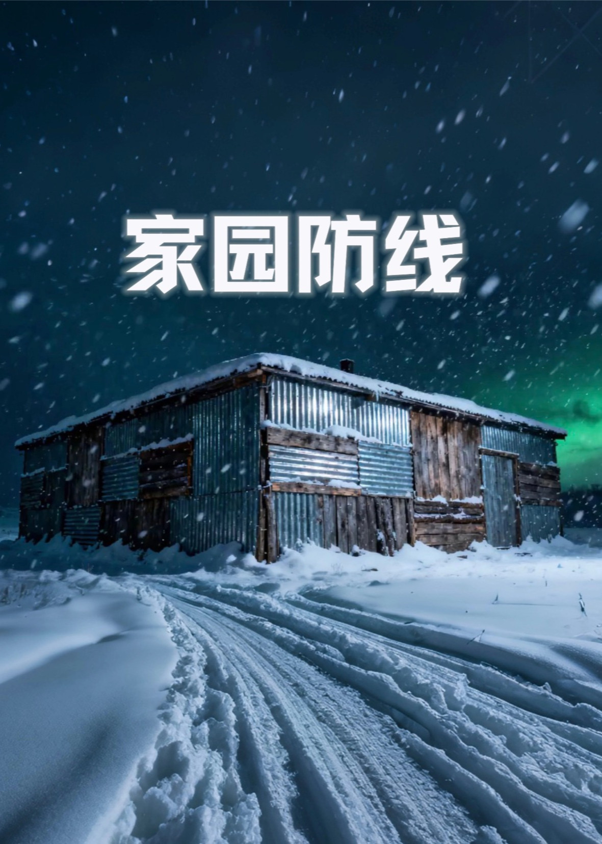 家园防线封面图