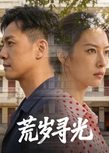 荒岁寻光封面图