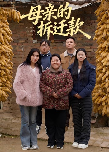 母亲的拆迁款封面图