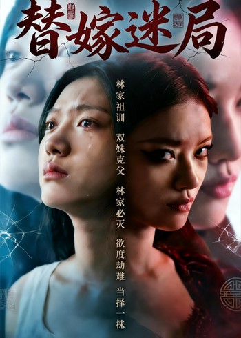 替嫁迷局封面图