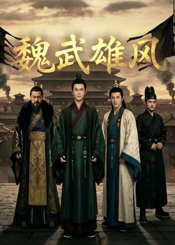 魏武雄风封面图