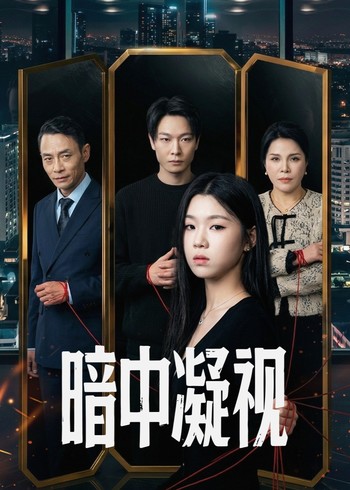 暗中凝视封面图