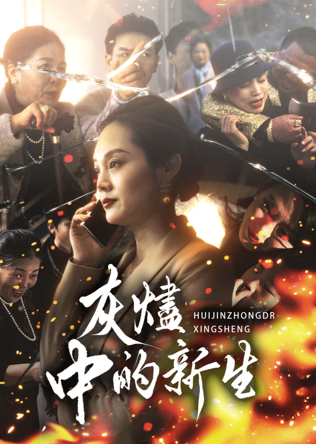 灰烬中的新生封面图