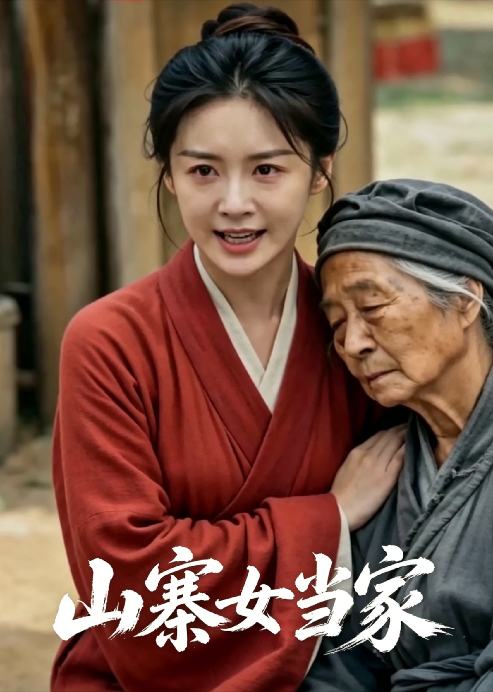 山寨女当家封面图