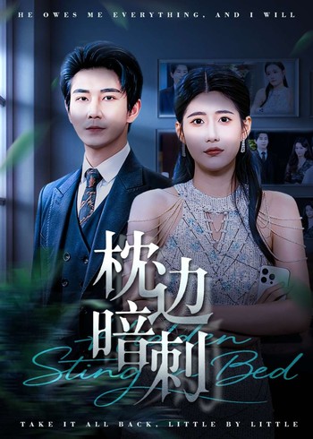 枕边暗刺封面图