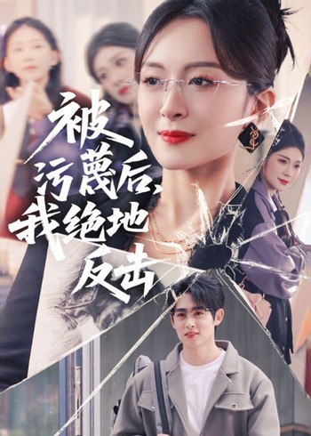 被污蔑后我绝地反击封面图