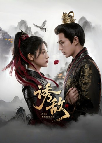 诱敌封面图