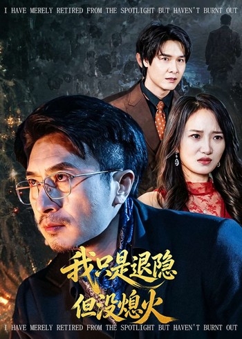 我只是退隐但没熄火封面图