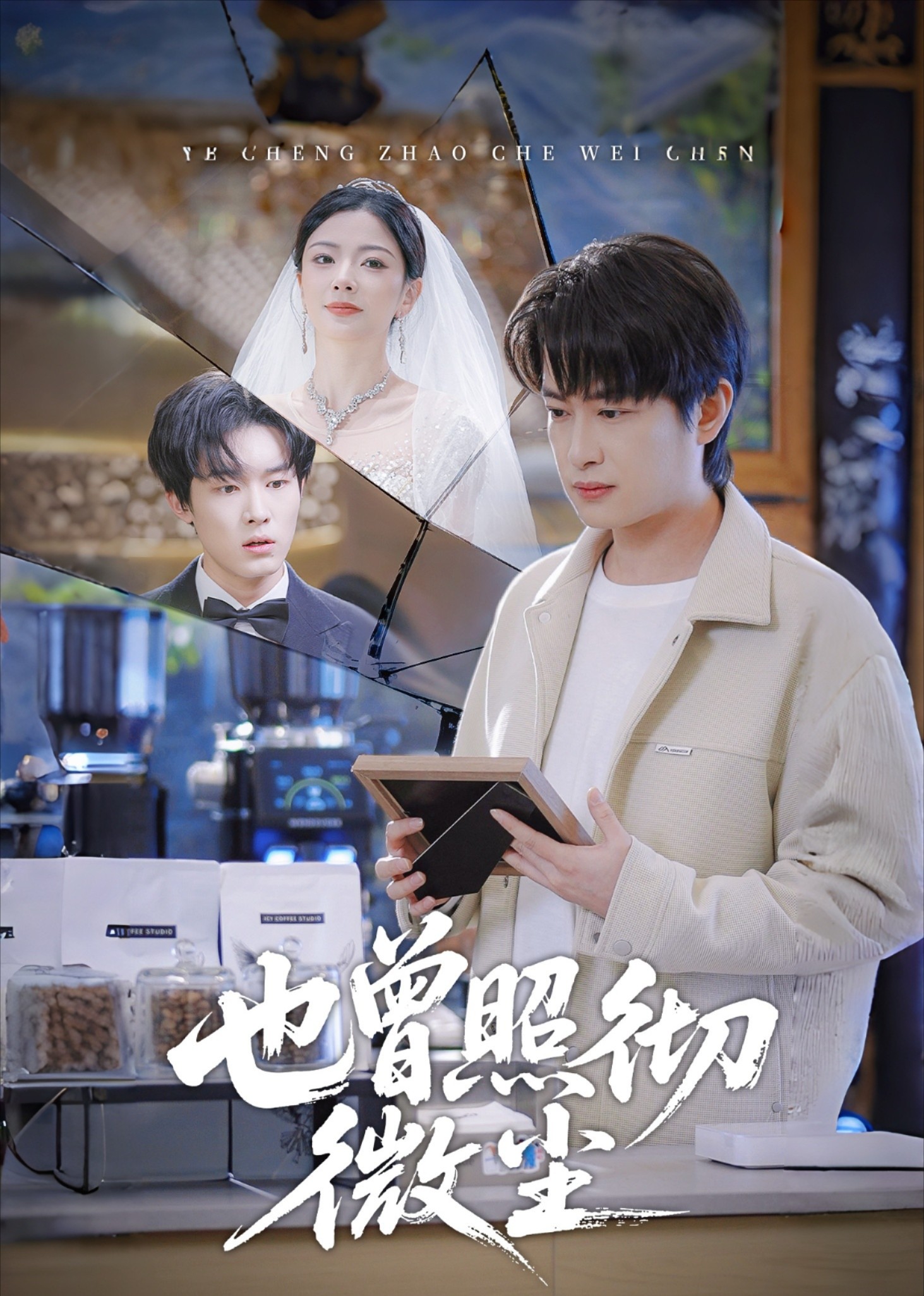 也曾照彻微尘封面图