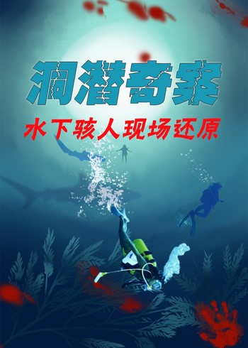 洞潜奇案封面图