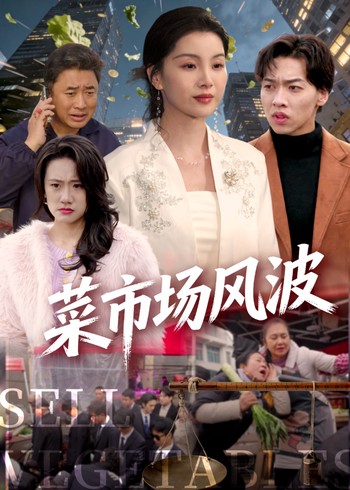 菜市场风波封面图