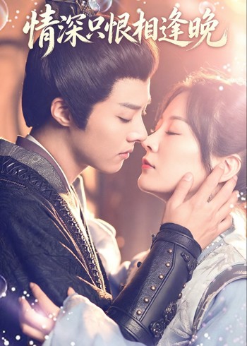 情深只恨相逢晚封面图