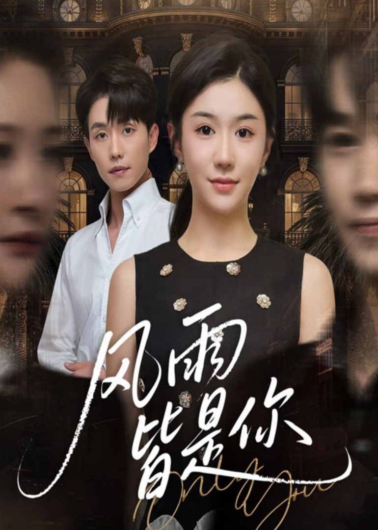 风雨皆是你封面图