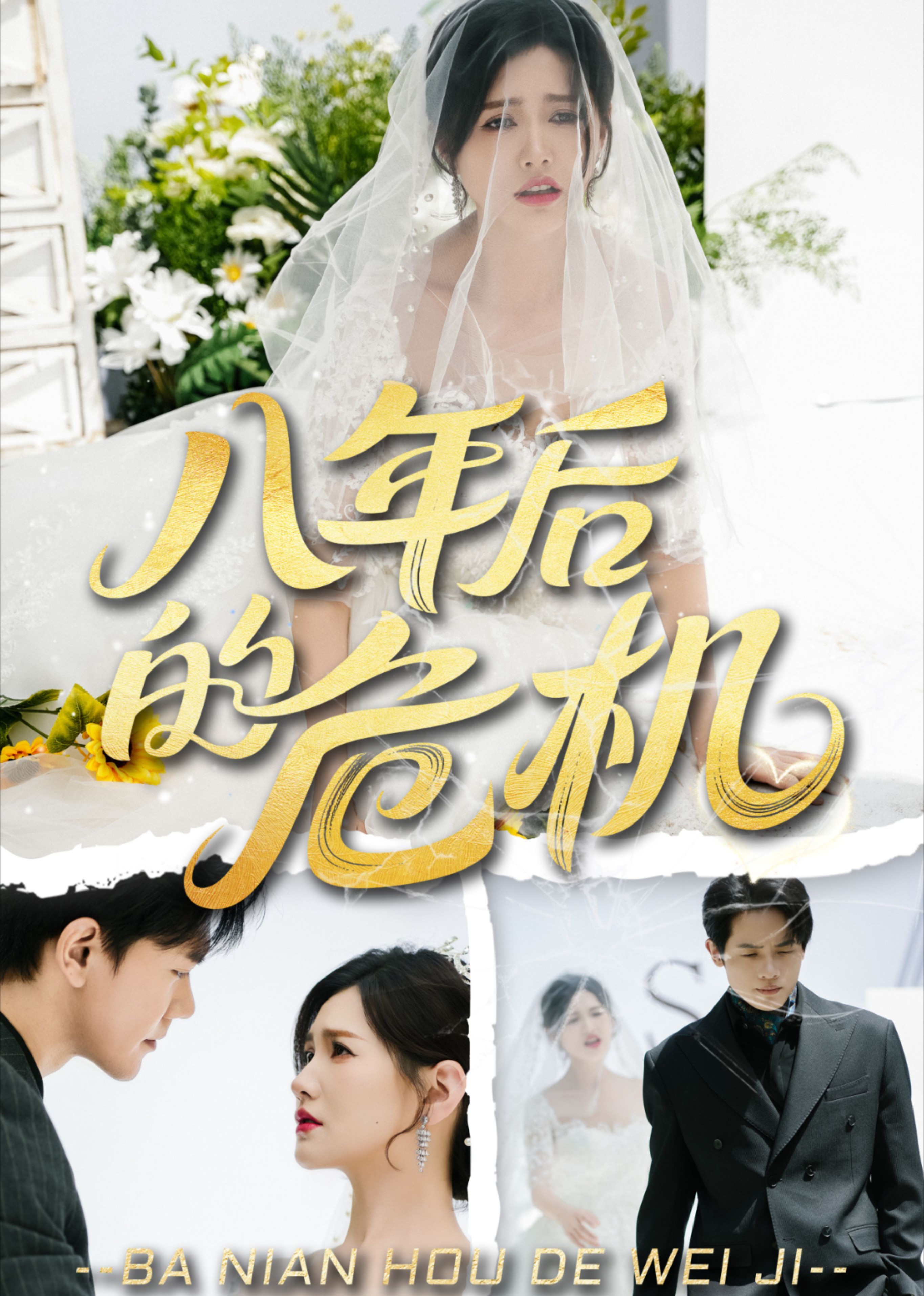 八年后的危机封面图