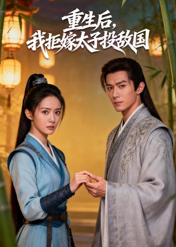 重生后我拒嫁太子投敌国封面图