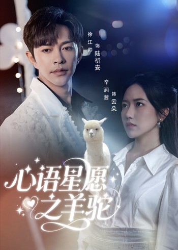 心语星愿之羊驼封面图