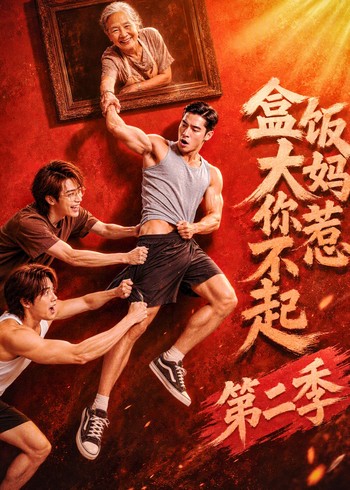盒饭大妈你惹不起第二季