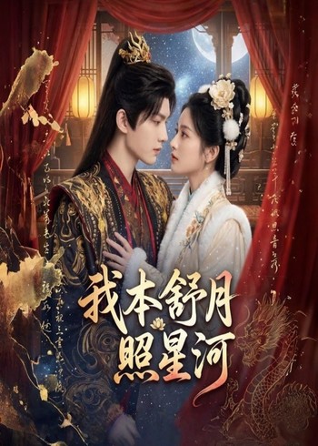 我本舒月照星河封面图