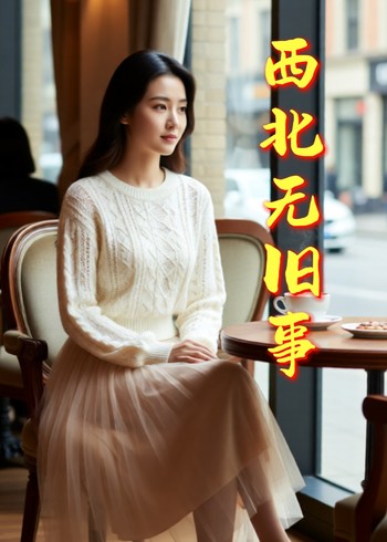 西北无旧事封面图