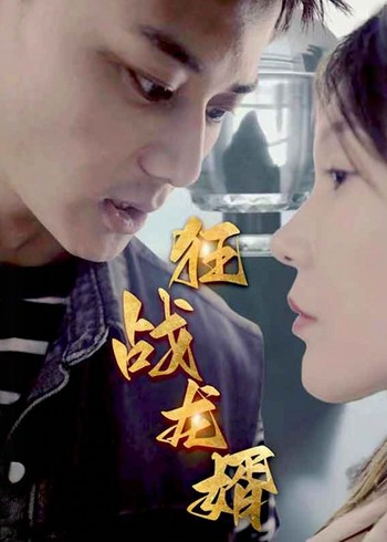 狂战龙婿封面图