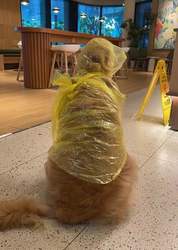 满满的和野横封面图