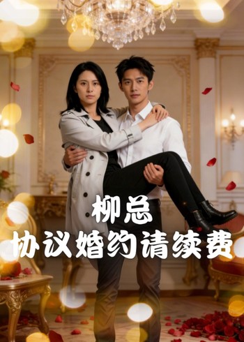 柳总协议婚约请续费封面图