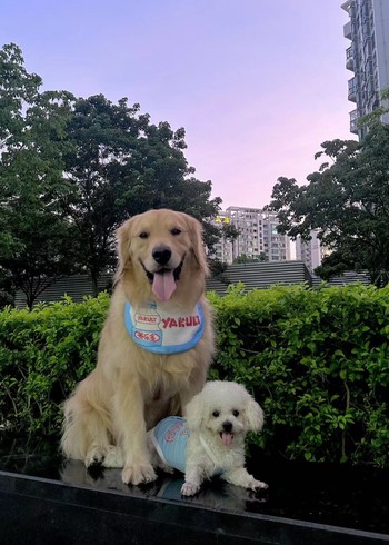 满满的多图文4封面图