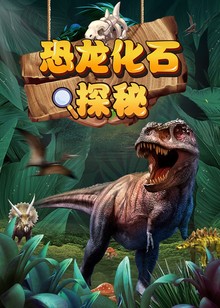 恐龙化石探秘