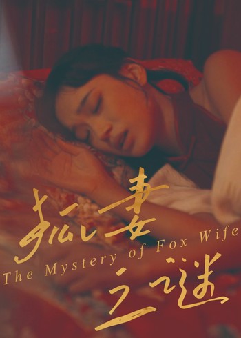 狐妻之谜封面图