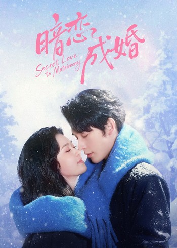 暗恋成婚封面图