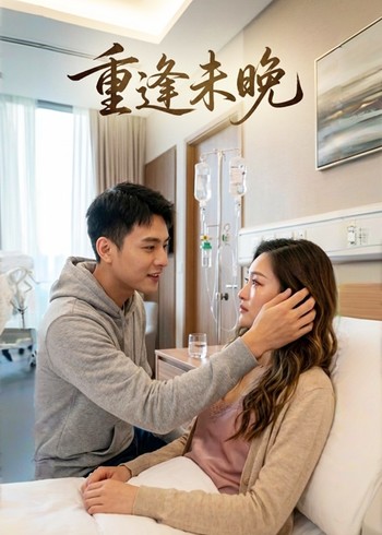 重逢未晚封面图