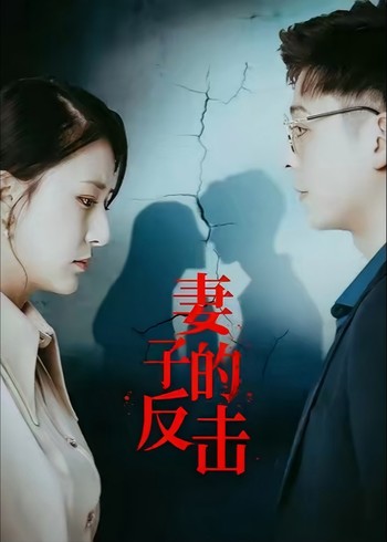 妻子的反击封面图