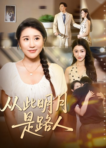 从此明月是路人封面图