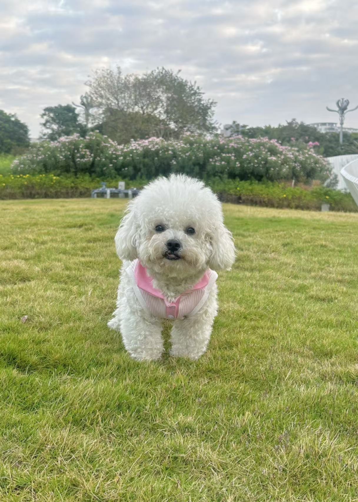 醒醒呀肥肥封面图