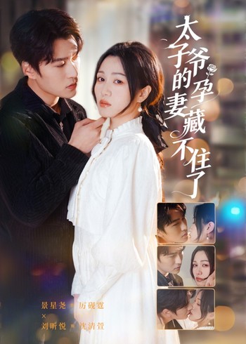 太子爷的孕妻藏不住了封面图