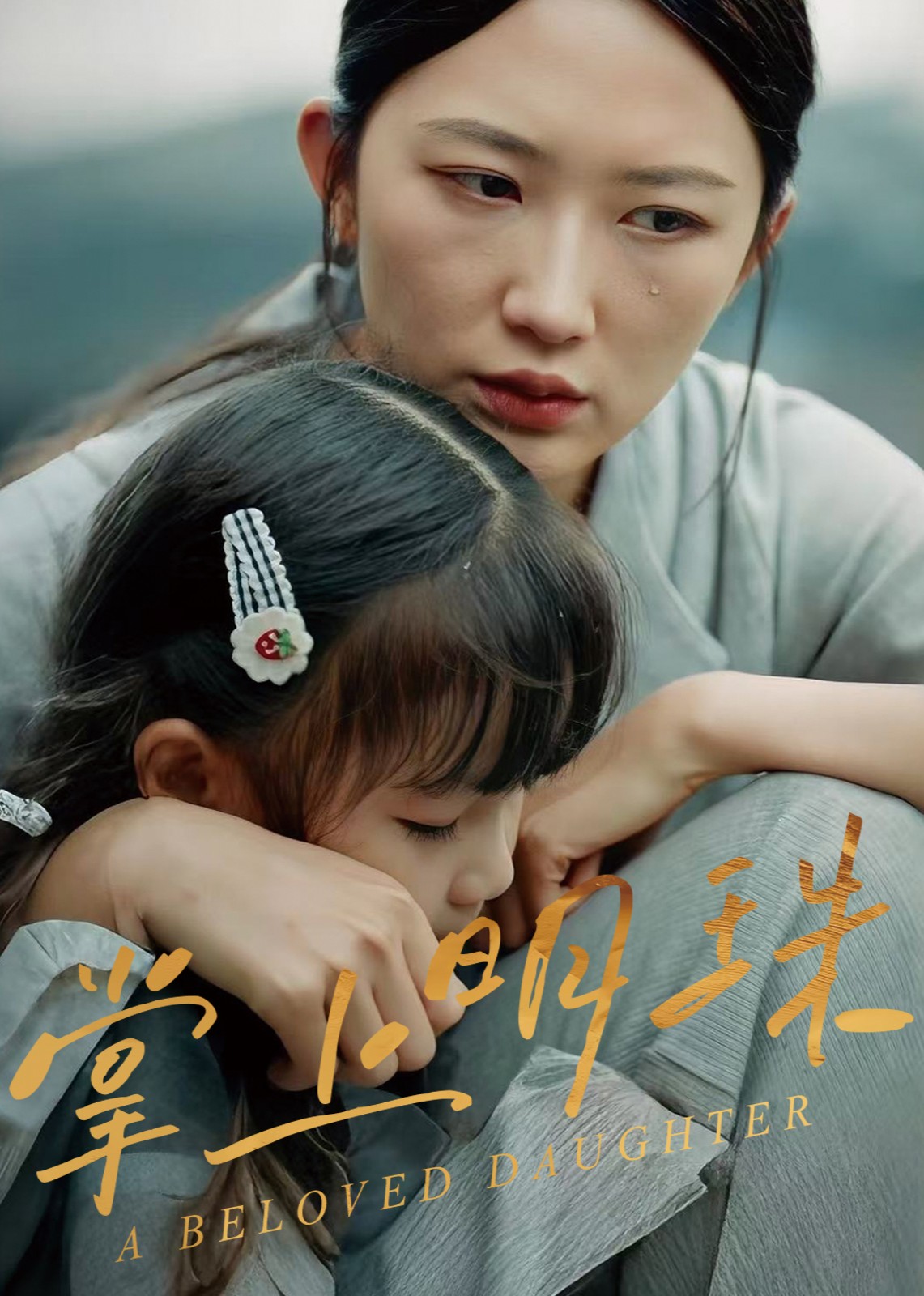 掌上明珠封面图