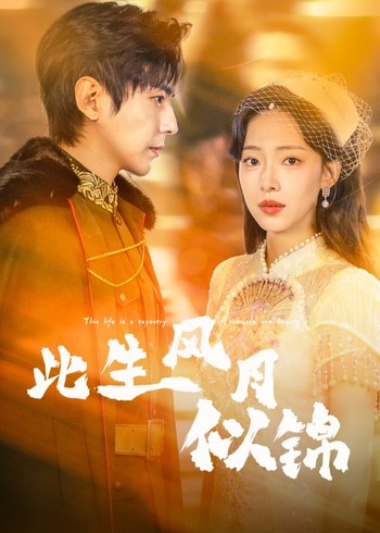 此生风月似锦封面图