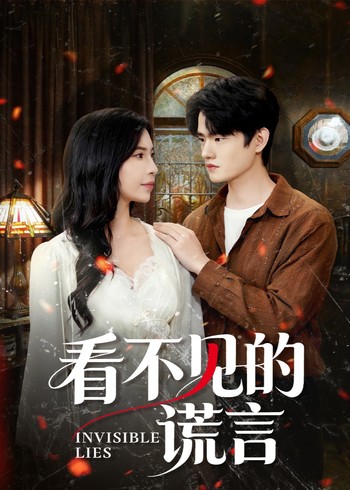 看不见的谎言封面图