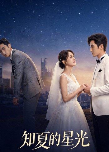 知夏的星光封面图