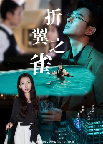 折翼之雀封面图