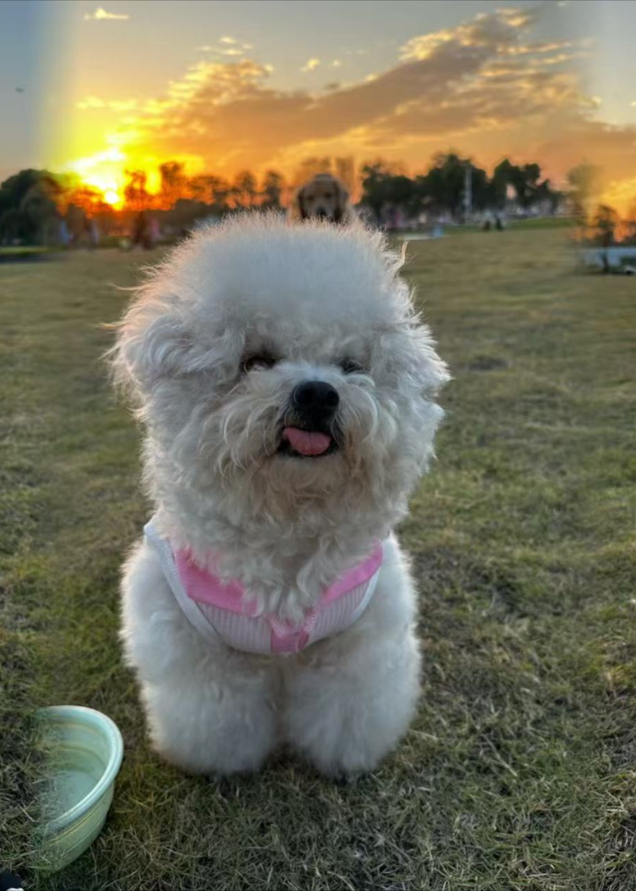 下雨尼醒醒封面图
