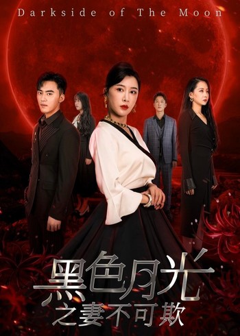 黑色月光之妻不可欺封面图