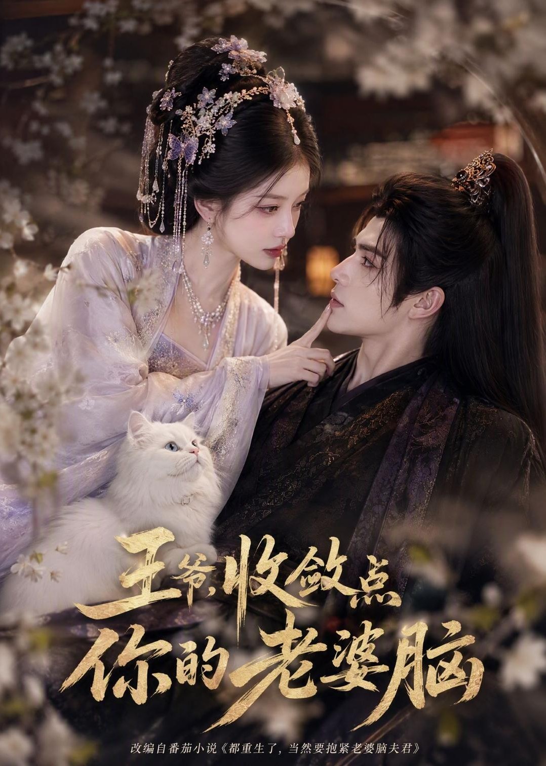 王爷，收敛点你的老婆脑封面图