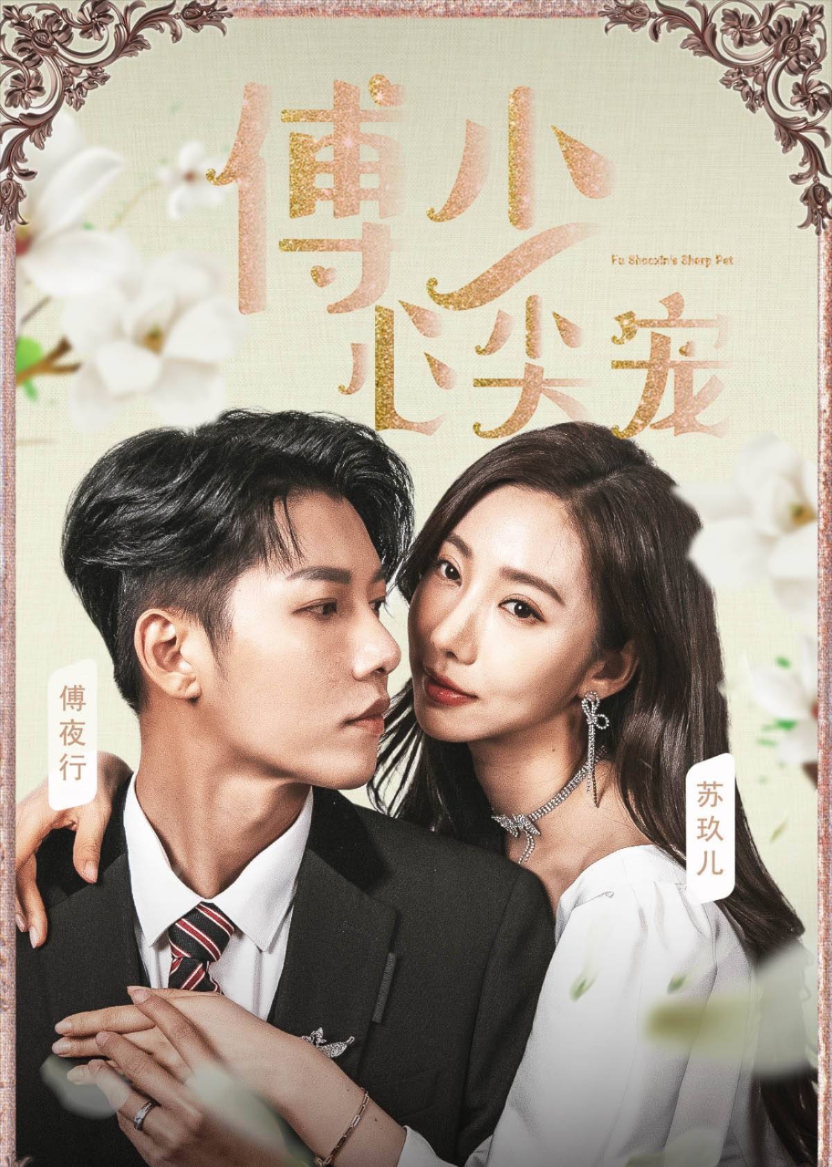 傅少心尖宠封面图