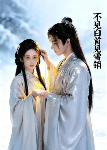 不见白首见雪销封面图