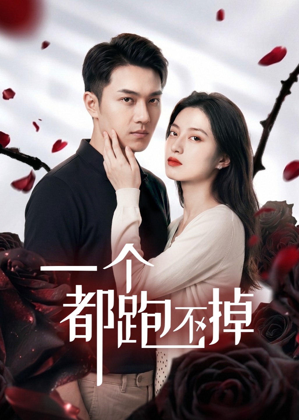 一个都跑不掉封面图